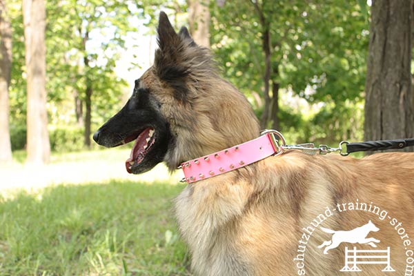 Leather Tervuren collar of bright pink color