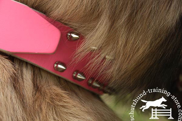 Pink leather Tervuren collar with two rows of spikes