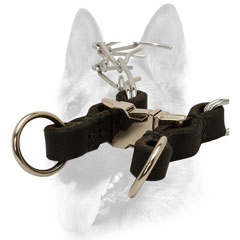 Sturdy buckle for the collar 