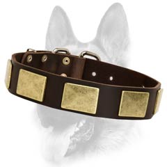 Custom made leather dog collar