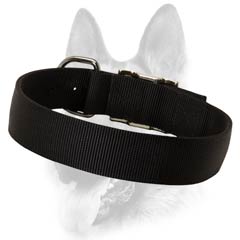 Everyday reliable nylon collar 