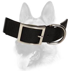 Quality nylon dog collar