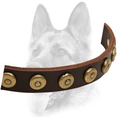 Multifunctional leather dog collar with ornament