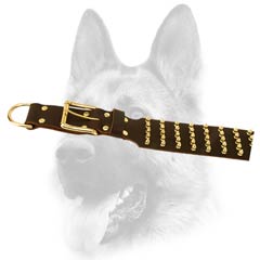 Widest leather dog collar