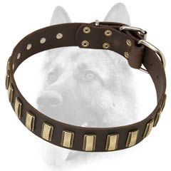 Ornamented leather dog collar