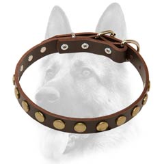 Everyday leather dog collar with decoration