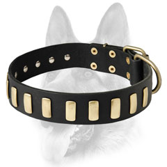 Designer leather dog collar