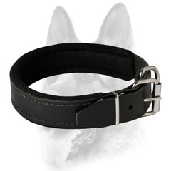 Handmade felt padded leather collar