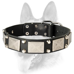 Decorated leather collar