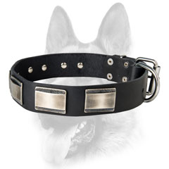 Handmade dog collar