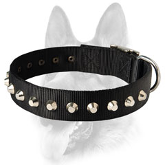 Superior nylon dog collar