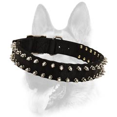 Spiked nylon dog collar
