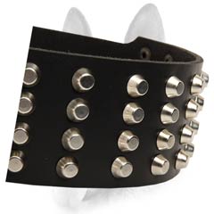 Finest leather dog collar with gorgeous studs