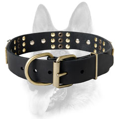 Walking leather dog collar