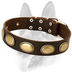 Best-fitted leather dog collar