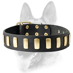 Leather dog collar with hand polished surfaces