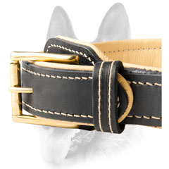 Custom leather dog collar for schutzhund dog breeds