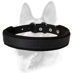 Extra strong dog collar