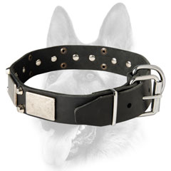 High-grade canine collar