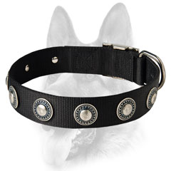 Custom made nylon collar