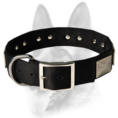 Personalized nylon collar