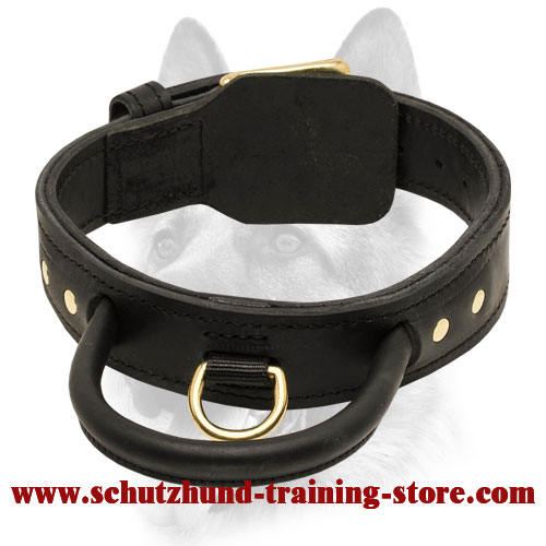 best dog training collars