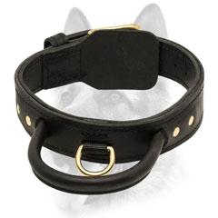 Stunning leather dog collar