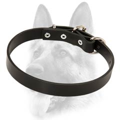 Everyday leather dog collar