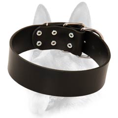 Designer leather buckle dog collar