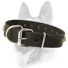 Studded leather dog collar