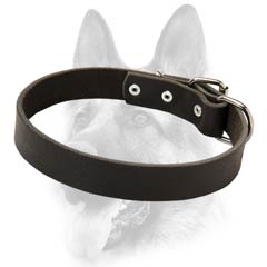 Handcrafted leather dog collar