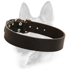 Easy walk leather dog collar