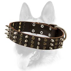 Durable leather dog collar