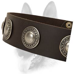 Universal leather dog collar