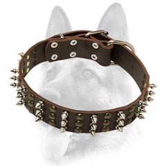 Spiked and studded leather dog collar