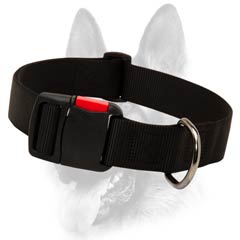 Custom made nylon dog collar