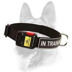 Nylon dog collar of best quality