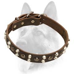 Designer leather dog collar