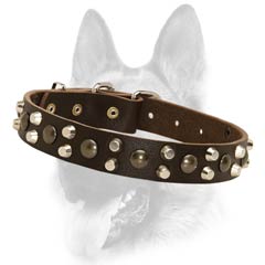 Leather dog collar with spikes and studs
