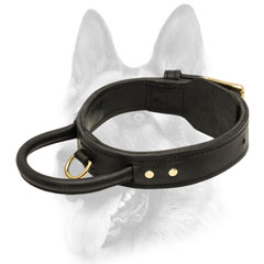 Agitation training leather dog collar