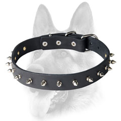 Leather dog collar with shiny spikes