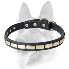 Training leather dog collar with plates