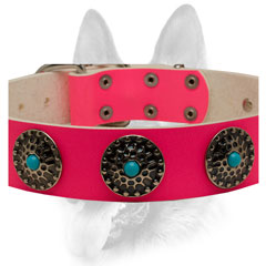 Blue stones and large conchos against pink leather
