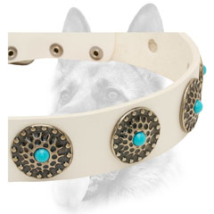 Sophisticated conchos massive silver-like