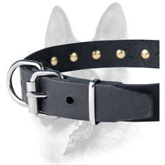 Buckle and D-ring for lead and tags - nickel-plated hardware