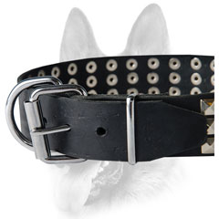 Non-corrodible buckle and D-ring for leash and tags