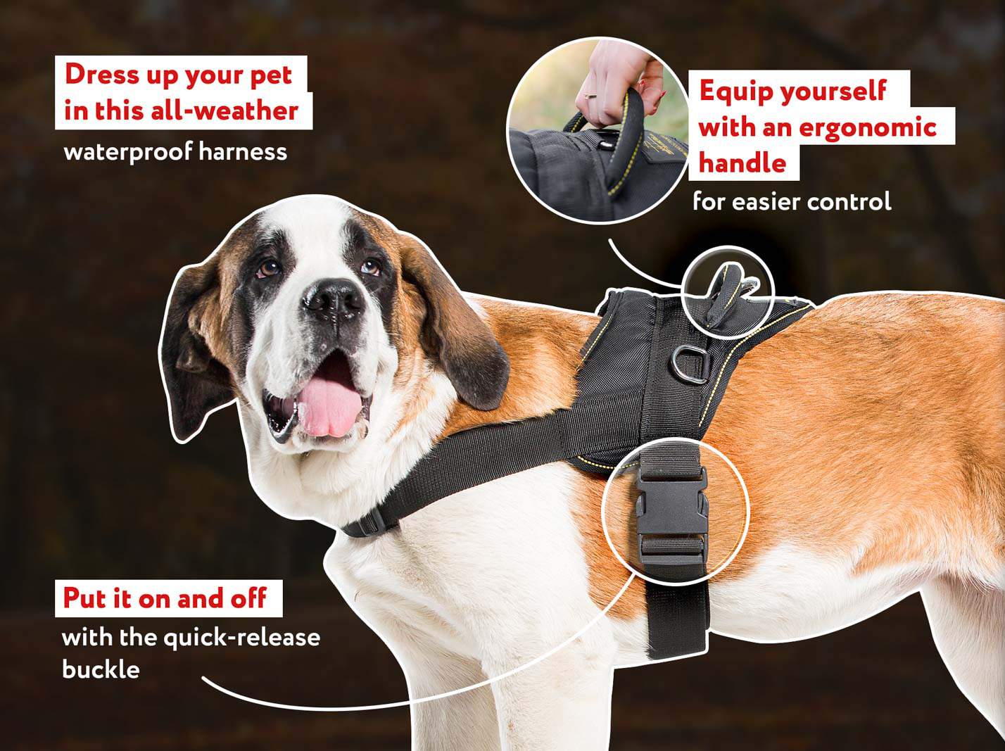 Saint bernard harness hotsell