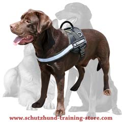 All-weather multi-purpose nylon harness