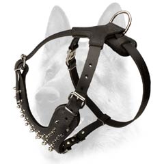 Fashionable leather dog harness