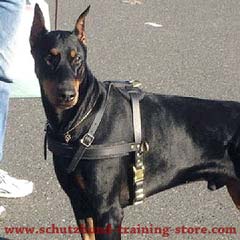 Fashion non-restrictive padded leather harness